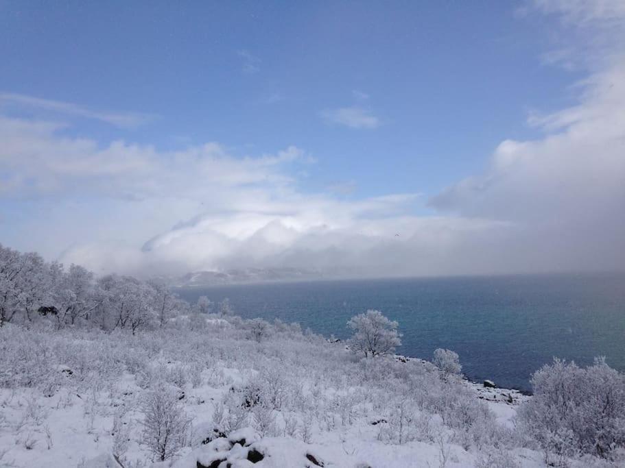 Villa Fantastic View, Quiet And Relaxing By The Sea Kvaloya Esterno foto